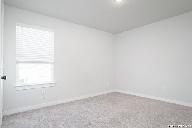 240 Brook Shadow Property Photo 19