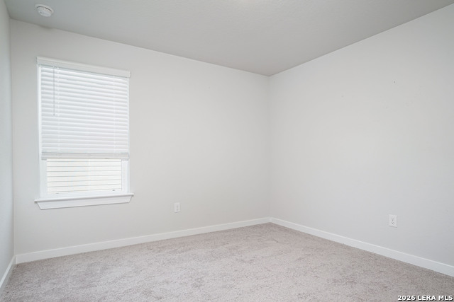 240 Brook Shadow Property Photo 21