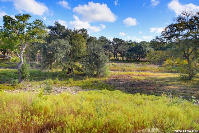 Lot 18 Blk 7 Barreal Property Photo 1