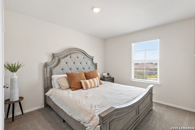 20523 Lorena Xing Property Photo 11