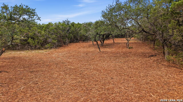 1280 Adyson Property Photo 2