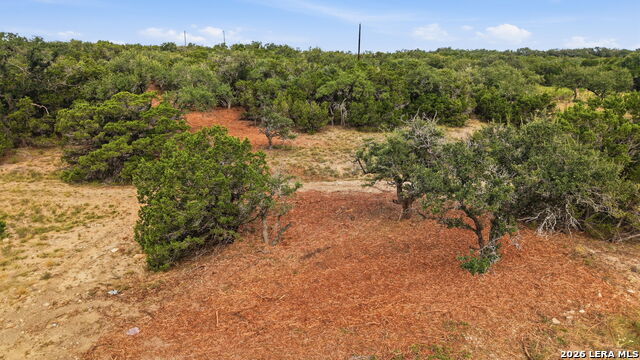 1280 Adyson Property Photo 22