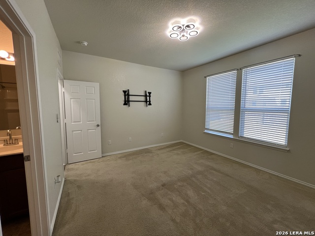 338 Mistflower Property Photo 18