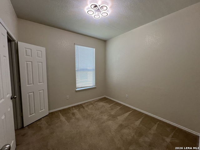 338 Mistflower Property Photo 22