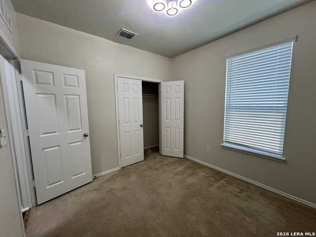 338 Mistflower Property Photo 23