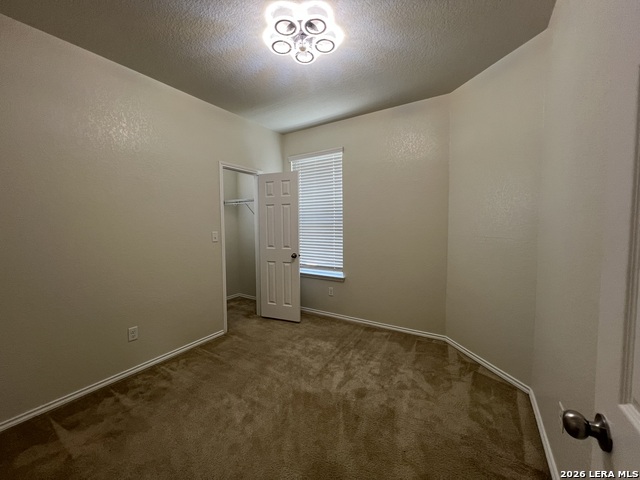 338 Mistflower Property Photo 24