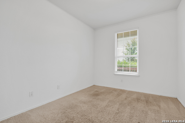 10310 Lady Bird Property Photo 10