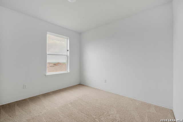 10310 Lady Bird Property Photo 16