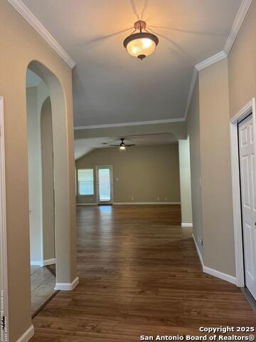 20502 Wild Springs Property Photo 3