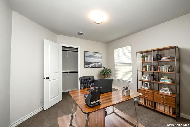 13035 Minuet Sway Property Photo 11