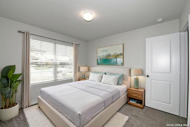 13035 Minuet Sway Property Photo 16