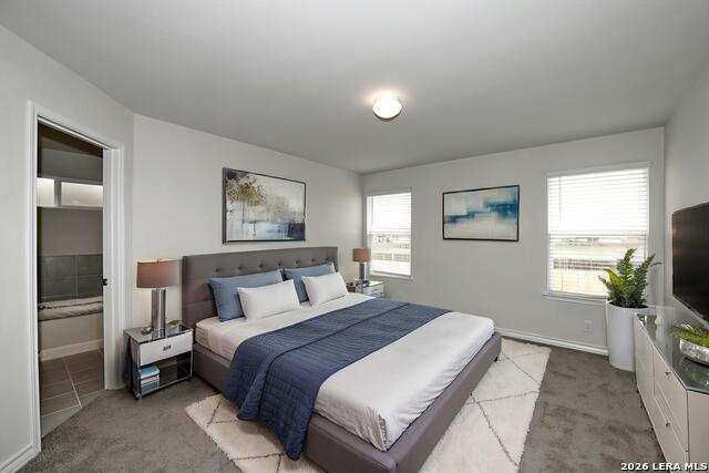 13035 Minuet Sway Property Photo 17