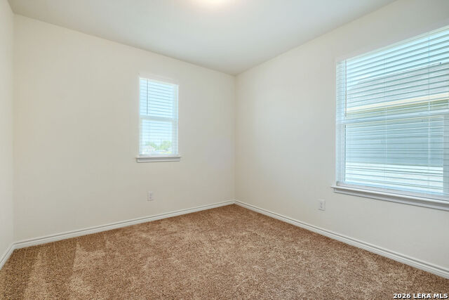 4519 Gato Calico Dr Property Photo 22