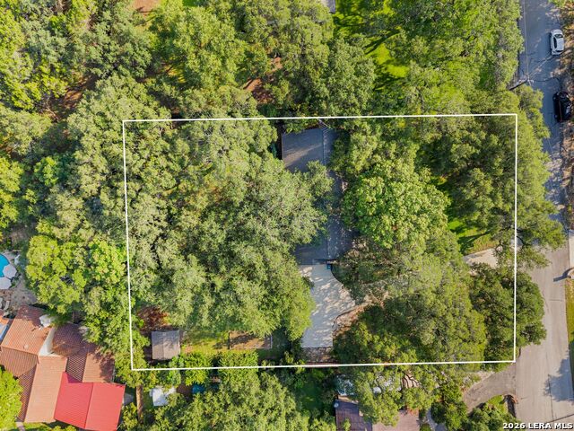 26042 Cypress Oaks Property Photo 41