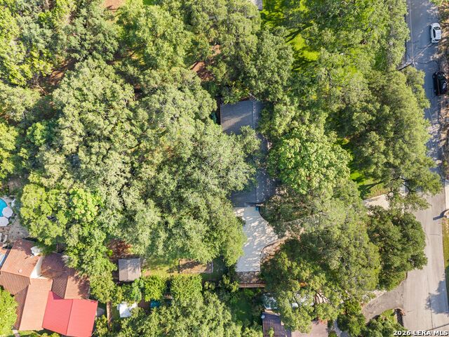 26042 Cypress Oaks Property Photo 42