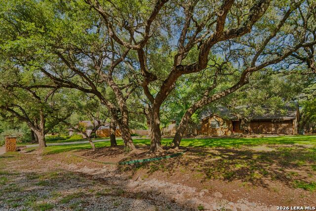 26042 Cypress Oaks Property Photo 48