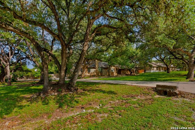 26042 Cypress Oaks Property Photo 50