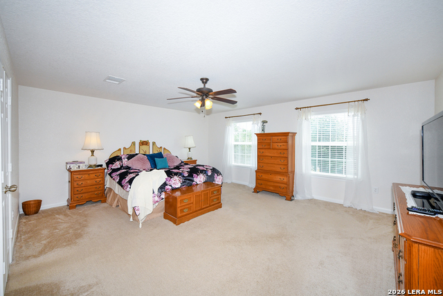 23815 Misty Peak Property Photo 19