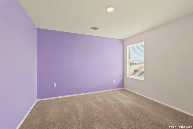13118 Levi Ter Property Photo 19