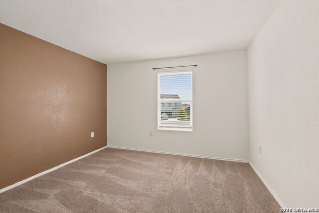 13118 Levi Ter Property Photo 20