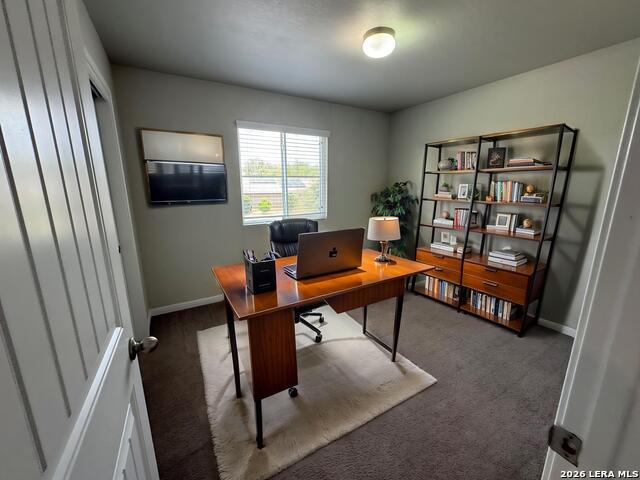 10106 Relic Oaks Property Photo 7