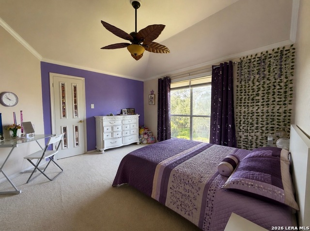 7537 Steeple Property Photo 37