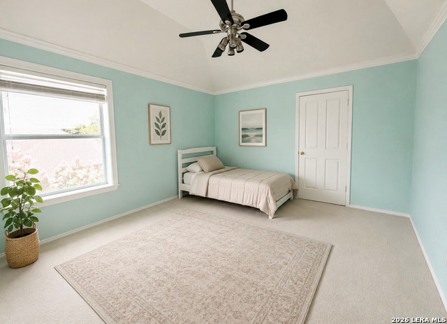 7537 Steeple Property Photo 38