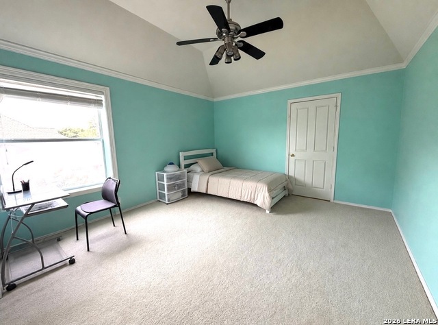 7537 Steeple Property Photo 39