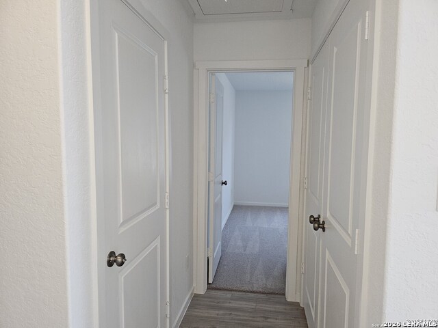 1310 Twisted Crk Property Photo 7