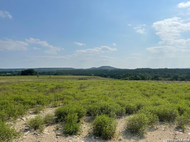 1165 Holden Loop Property Photo 4