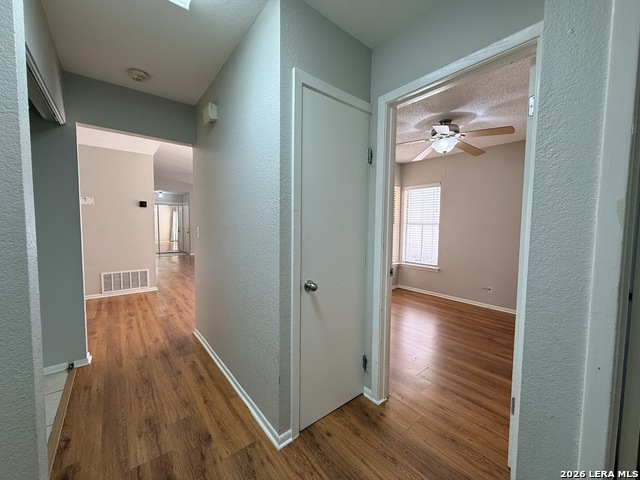 16611 Wolf Ridge St Property Photo 17