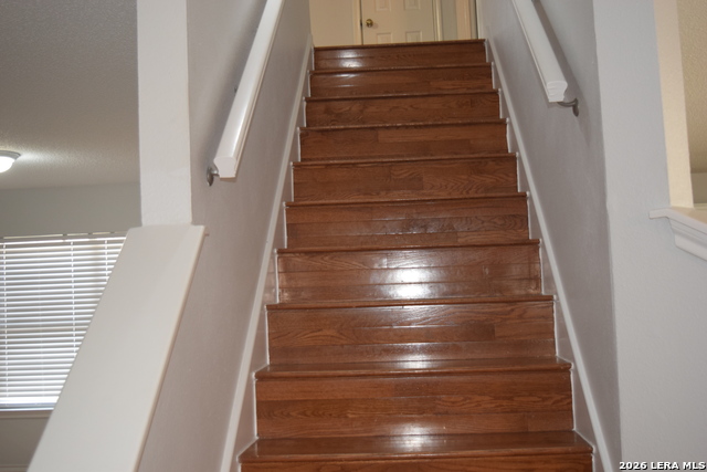 8026 Chestnut Manor Dr Property Photo 15