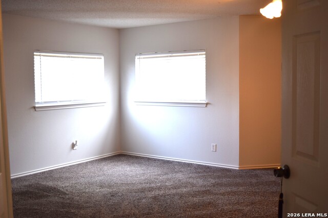 8026 Chestnut Manor Dr Property Photo 26