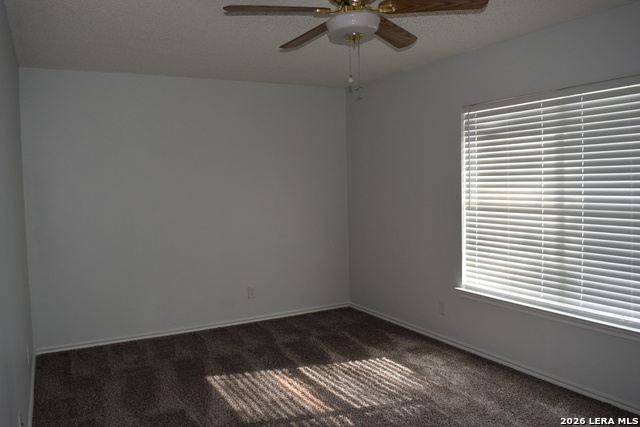 8026 Chestnut Manor Dr Property Photo 34