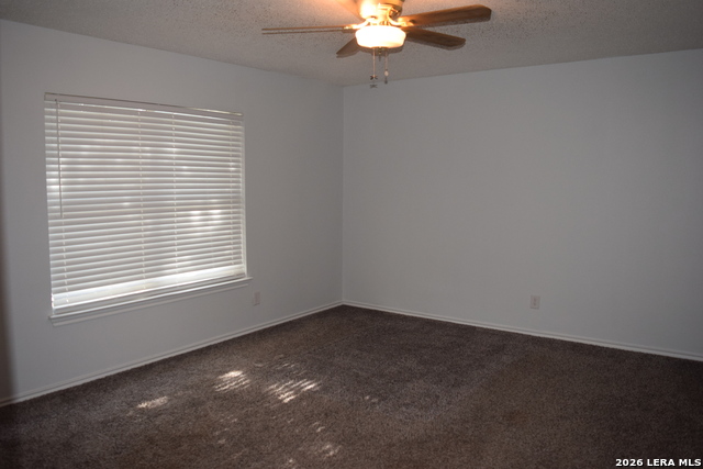 8026 Chestnut Manor Dr Property Photo 36