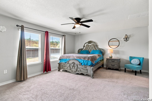 21018 Chestnut Cv Property Photo 18