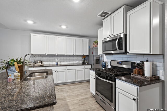 14828 Fronted Goose Property Photo 11