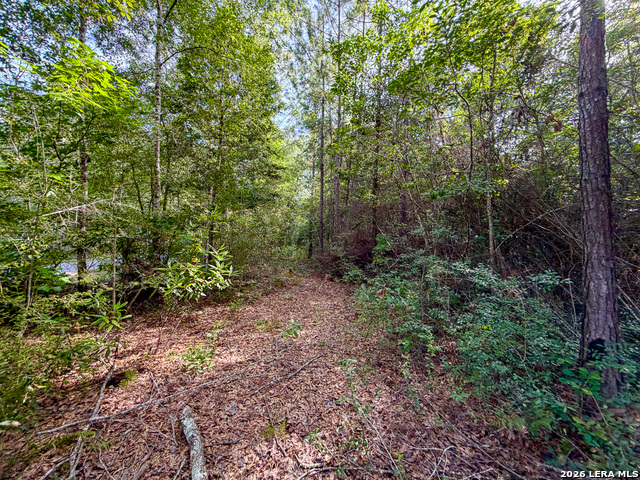 08 Fm 787 Property Photo 4