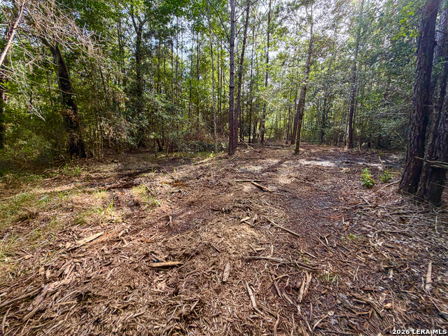 08 Fm 787 Property Photo 7