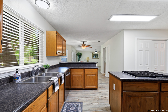 7443 Shady Hollow Ln Property Photo 10