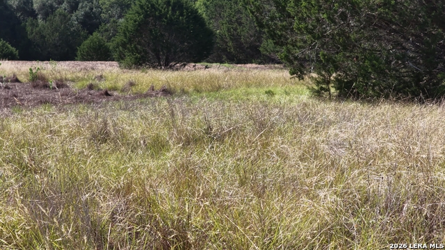 4113 Trainer Wuest Rd Property Photo 24