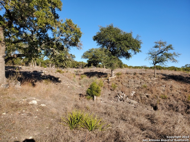 1660 Mciver Property Photo 30