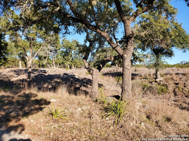 1660 Mciver Property Photo 32