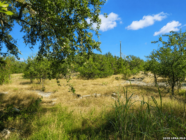 735 Horseshoe Track Property Photo 15