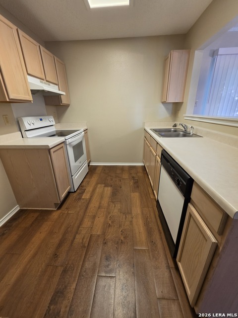 2303 Dalhart Pass Property Photo 4