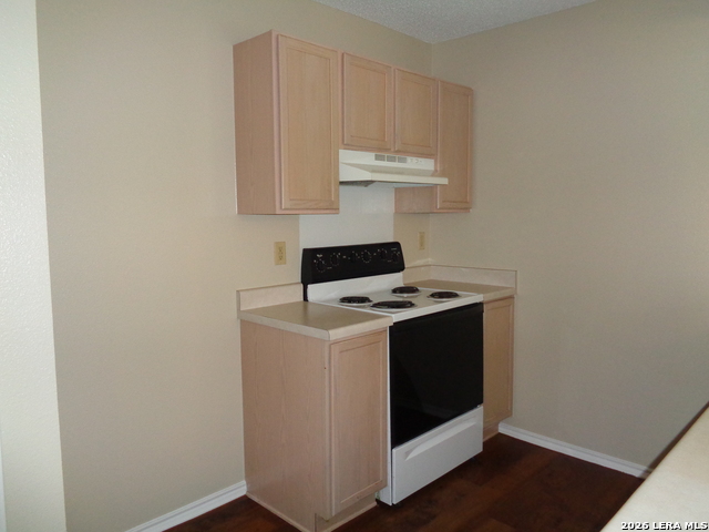2303 Dalhart Pass Property Photo 7