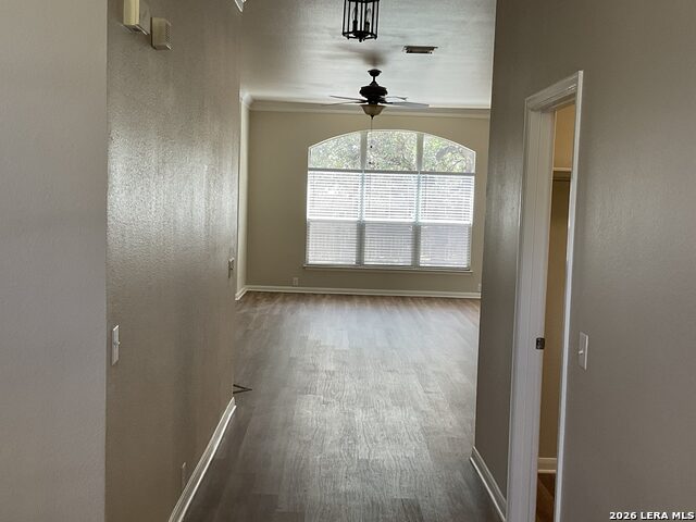 26111 Lookout Falls Property Photo 4
