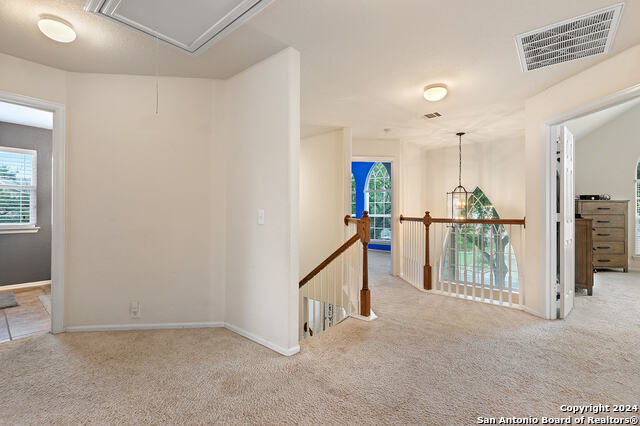 1306 Alpine Pond Property Photo 18