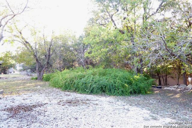 1884 Live Oak Property Photo 40