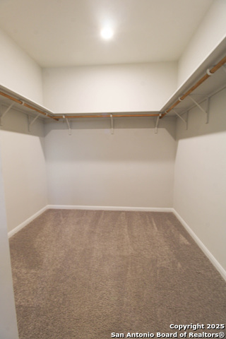 3713 Tripps Property Photo 40